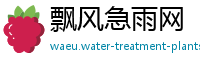 飘风急雨网